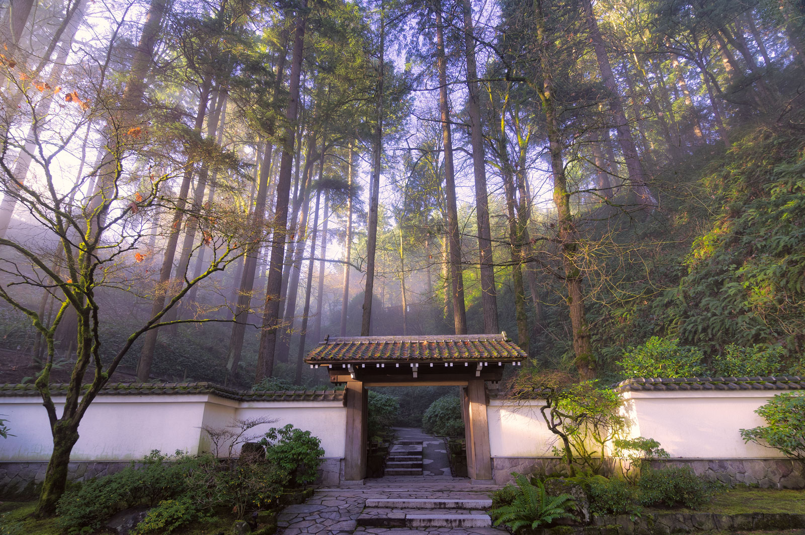 japanese tea garden tours