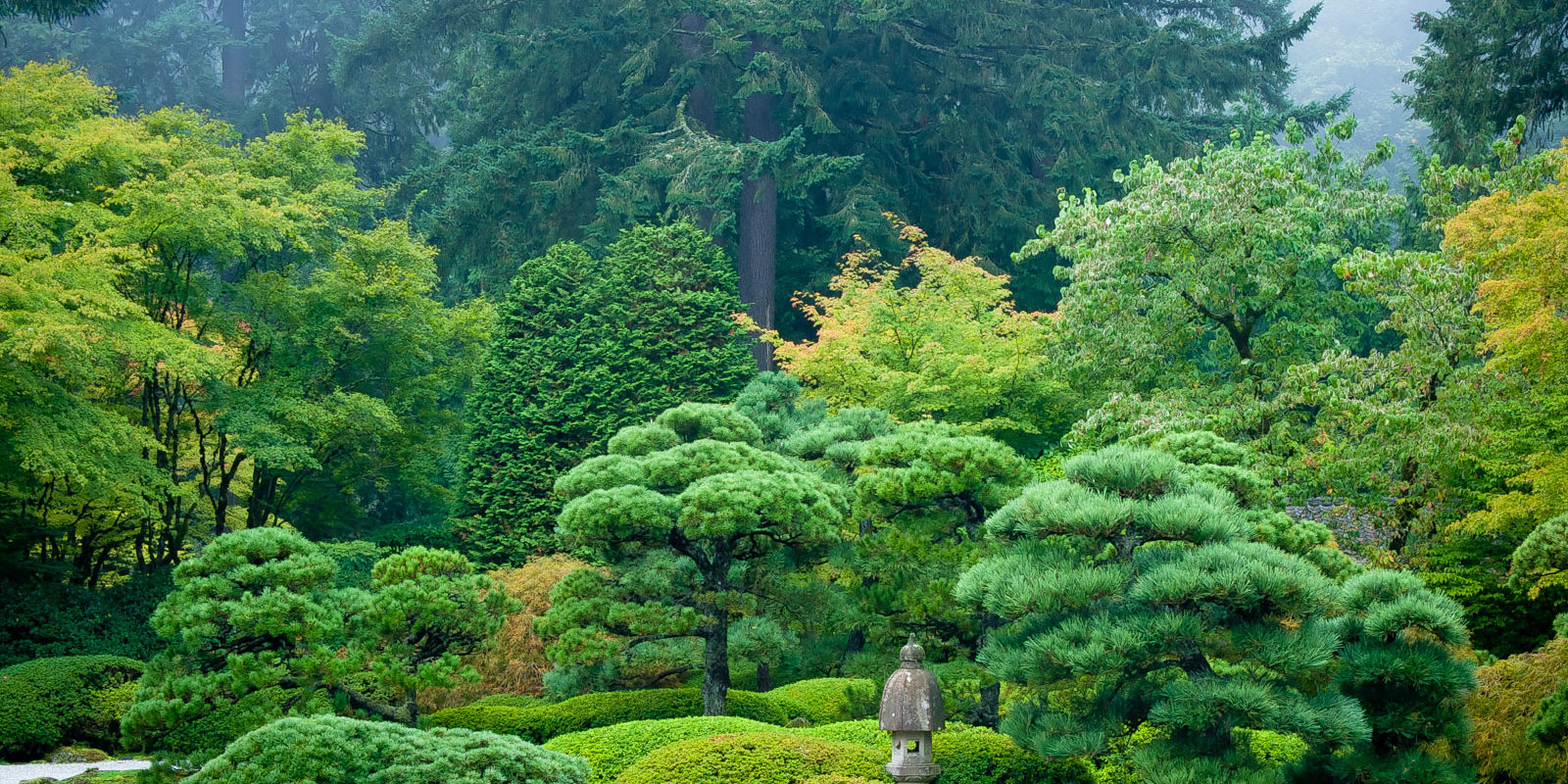 Kyoto Moss Garden HD