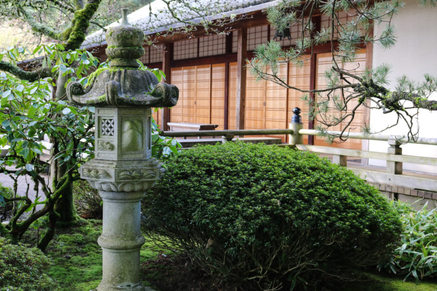 Early Spring in the Garden – Portland Japanese Garden