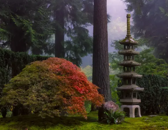 A tall stone lantern stylized like a pagoda next to a maple.
