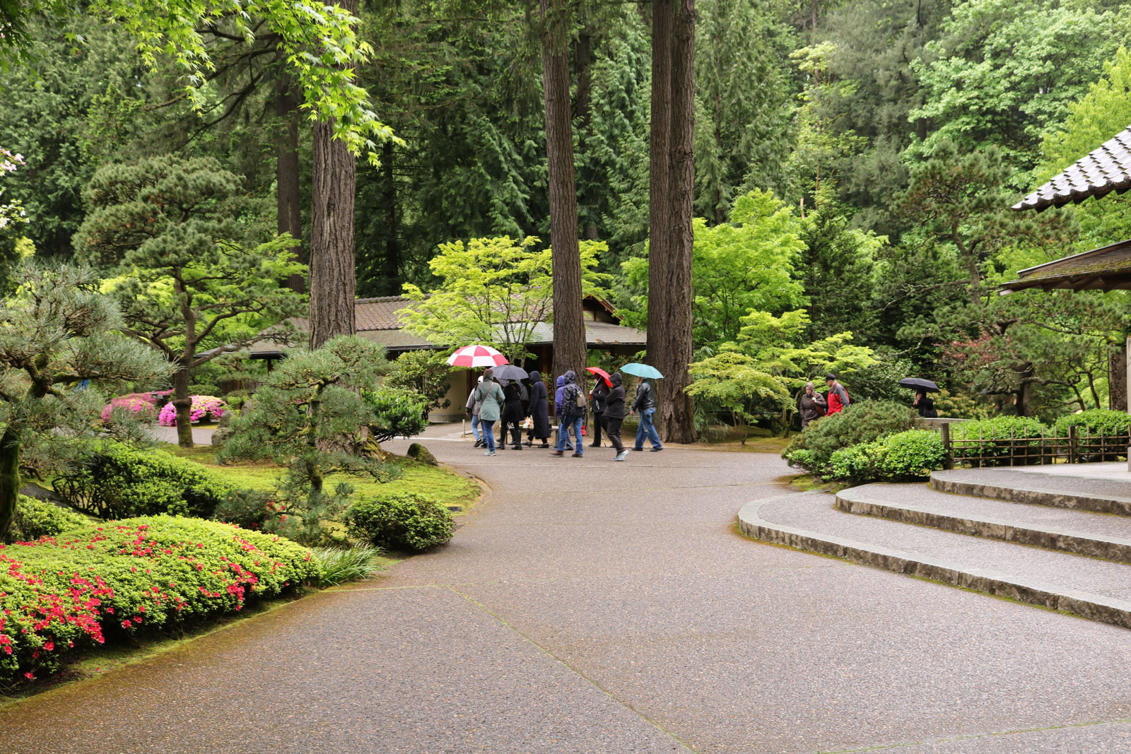 Portland Japanese Garden, Japanese Landscaping Plants