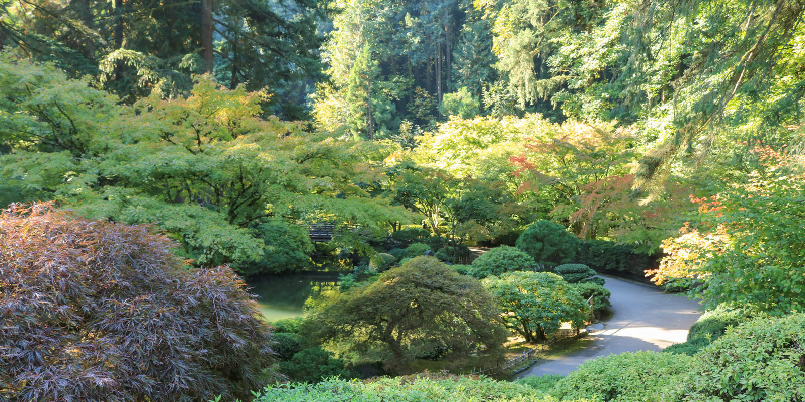 LR_Portland Japanese Garden_Fall Colors 2017_ Julia Taylor_IMG_0858