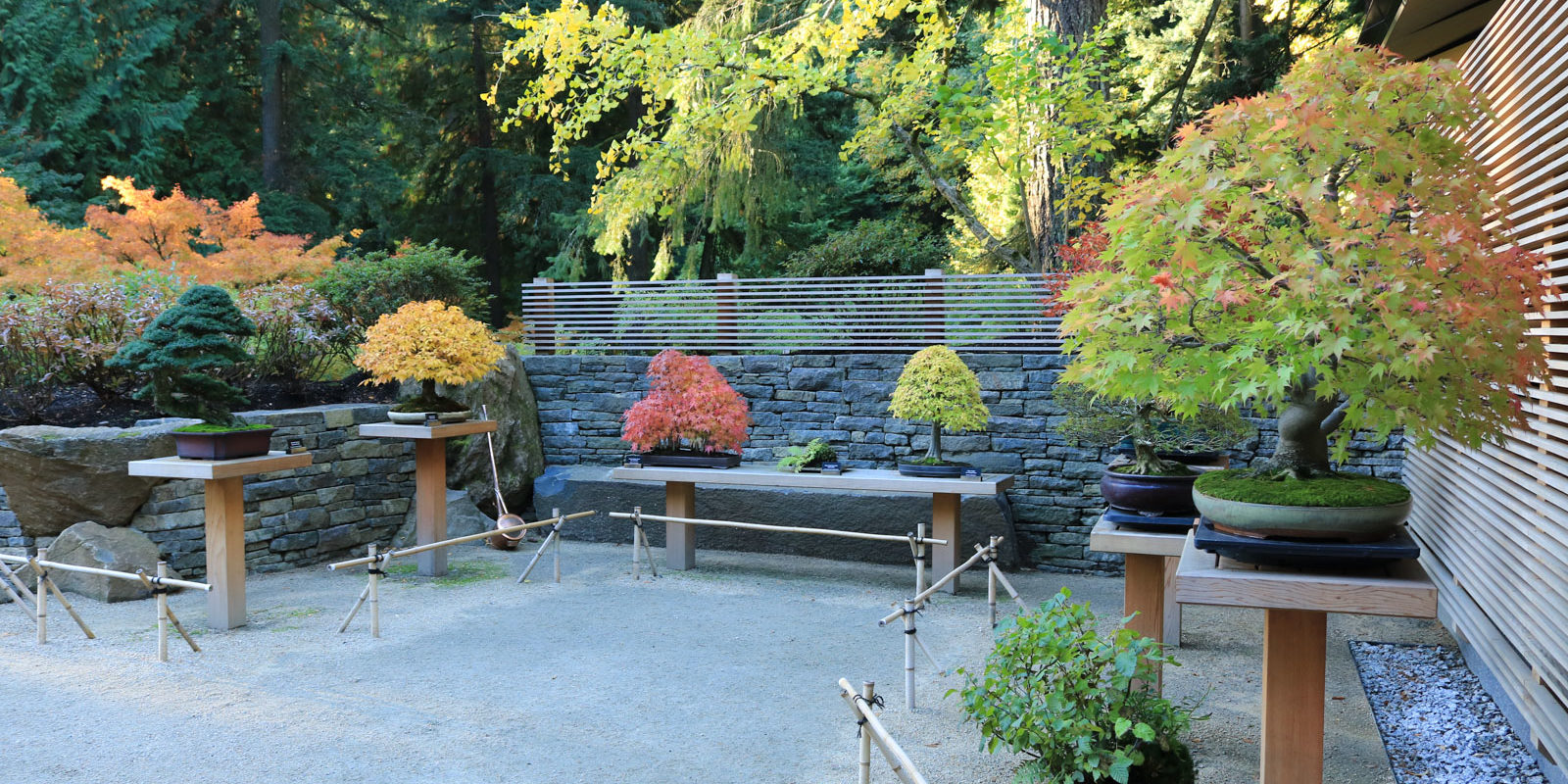 LR_Portland Japanese Garden_Fall Colors_Julia Taylor_IMG_1182