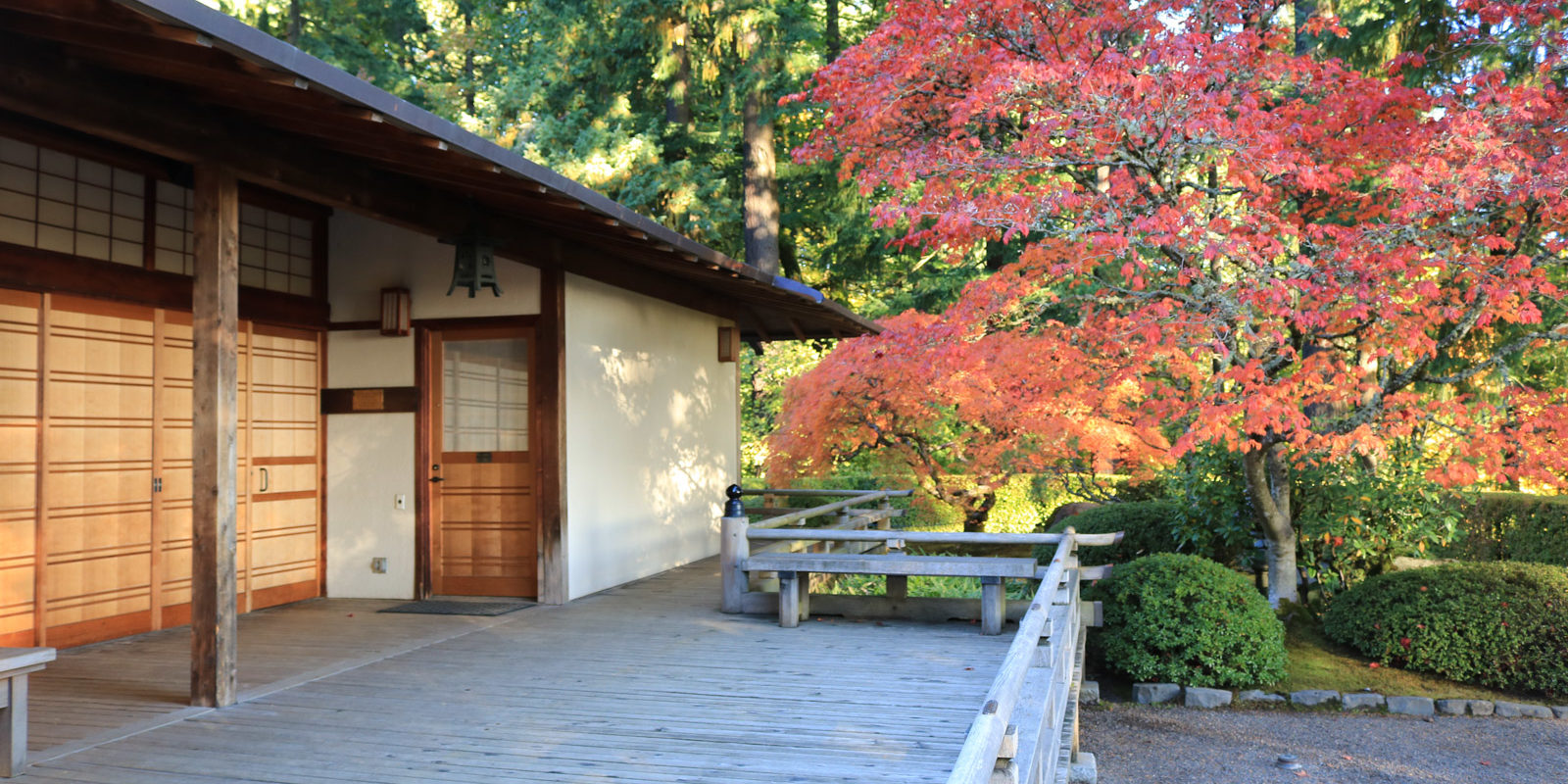 LR_Portland Japanese Garden_Fall Colors_Julia Taylor_IMG_1224