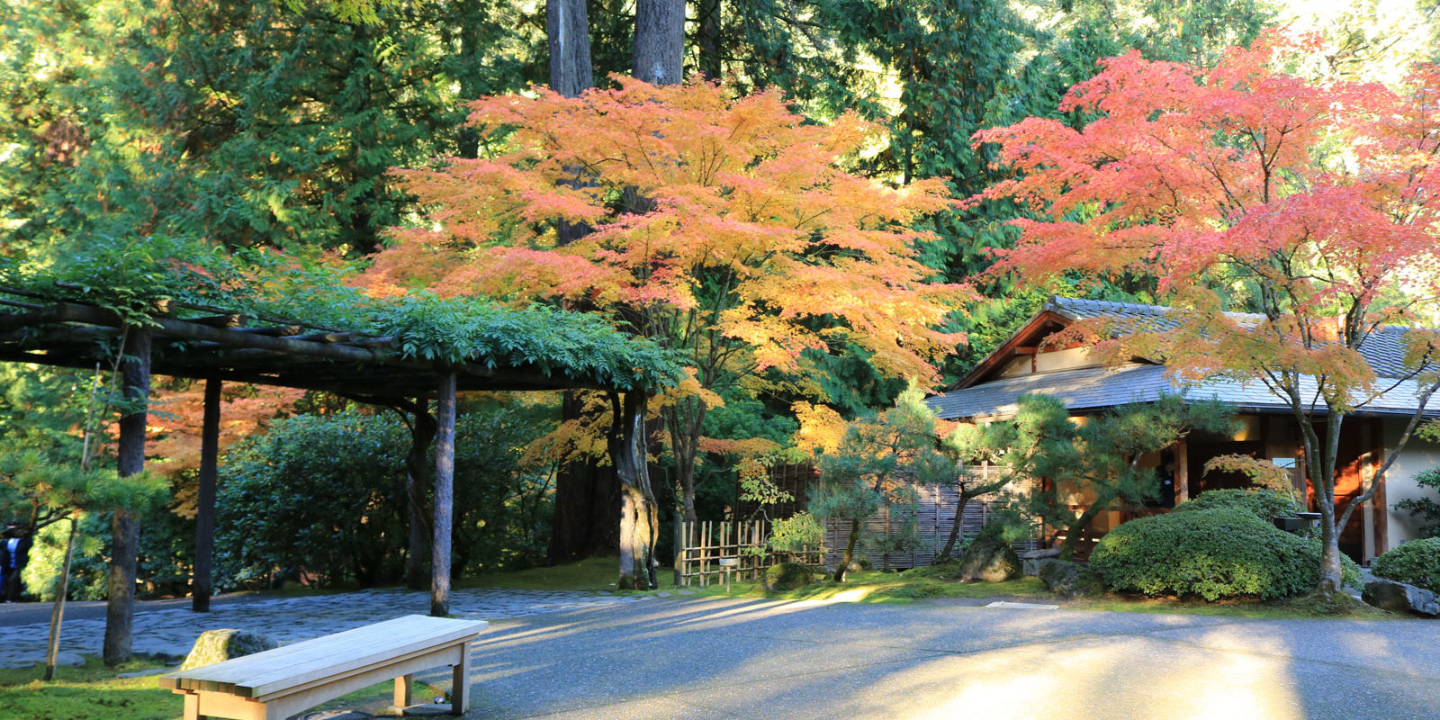 LR_Portland Japanese Garden_Fall Colors_Julia Taylor_IMG_1277