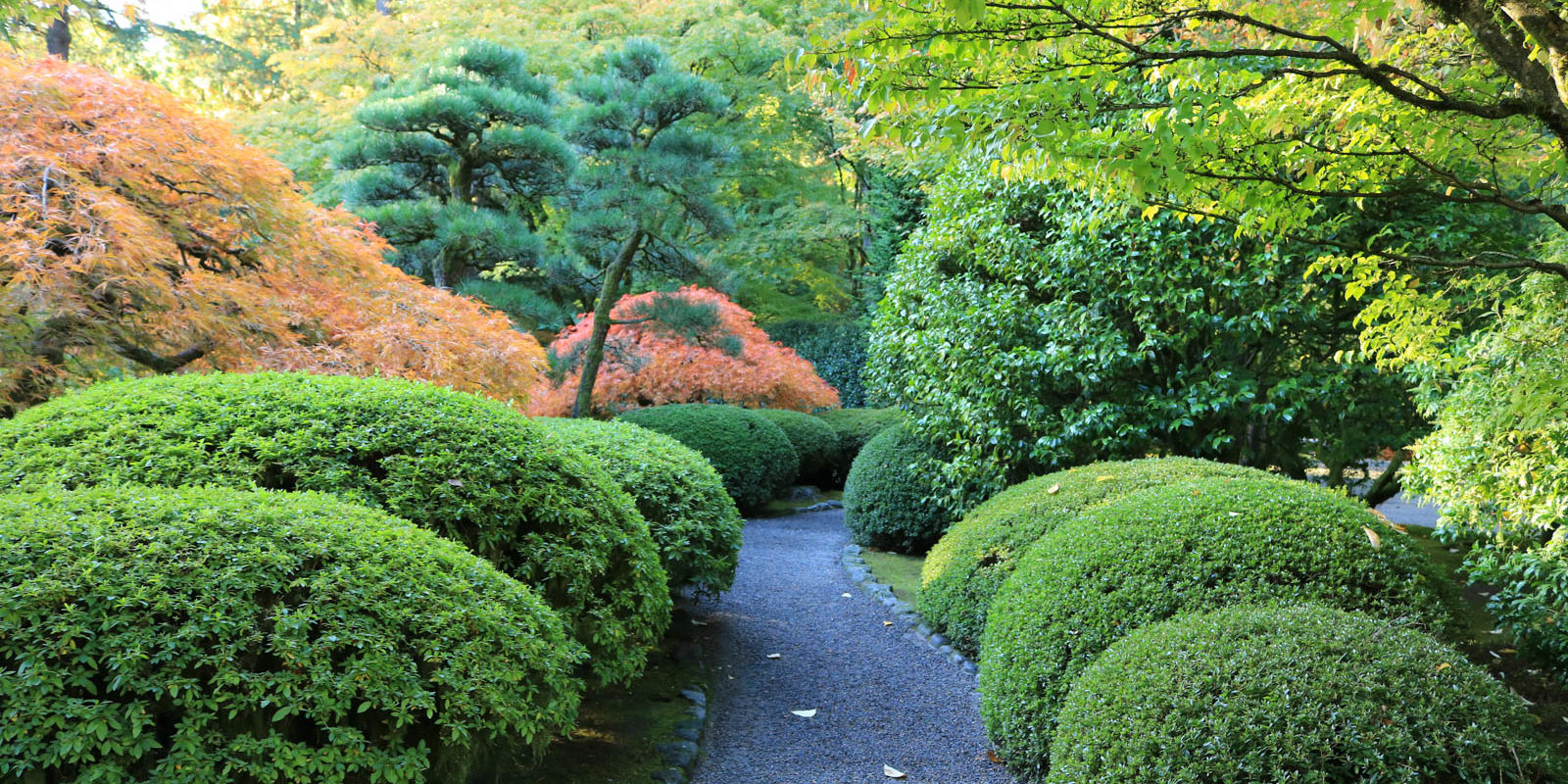 LR_Portland Japanese Garden_Fall Colors_Julia Taylor_IMG_1298
