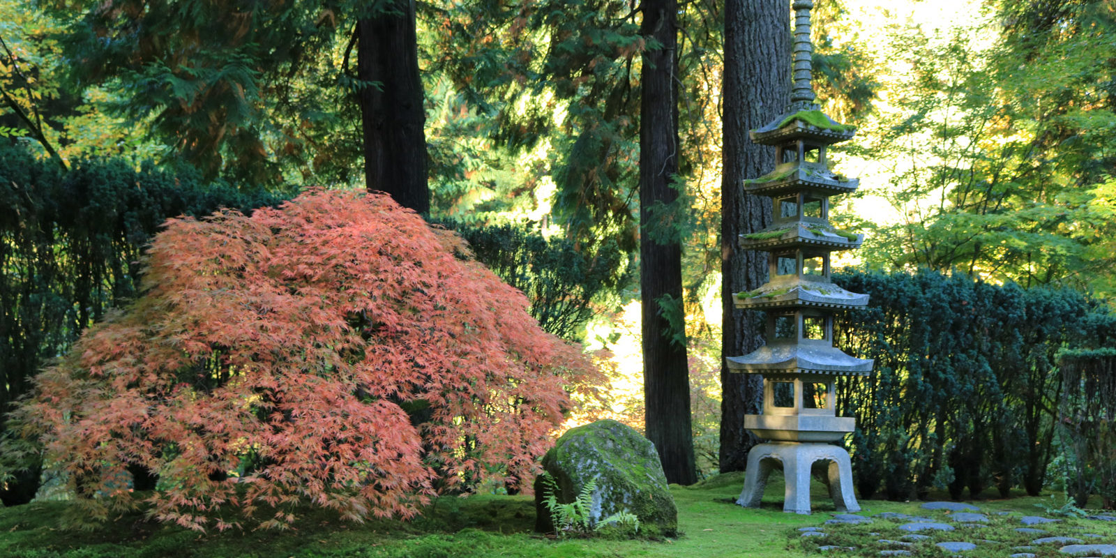 LR_Portland Japanese Garden_Fall Colors_Julia Taylor_IMG_1334