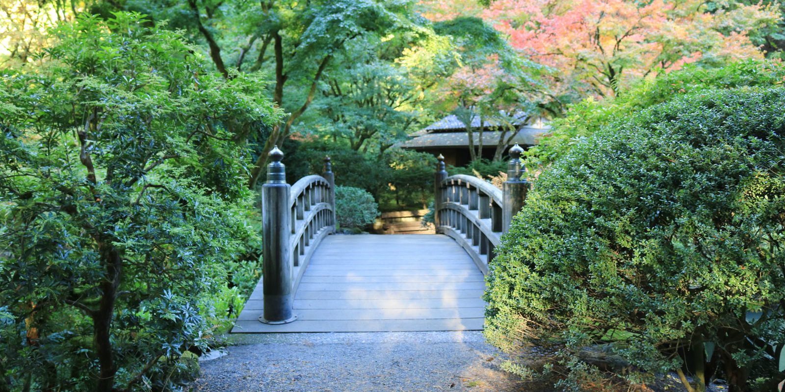 LR_Portland Japanese Garden_Fall Colors_Julia Taylor_IMG_1346