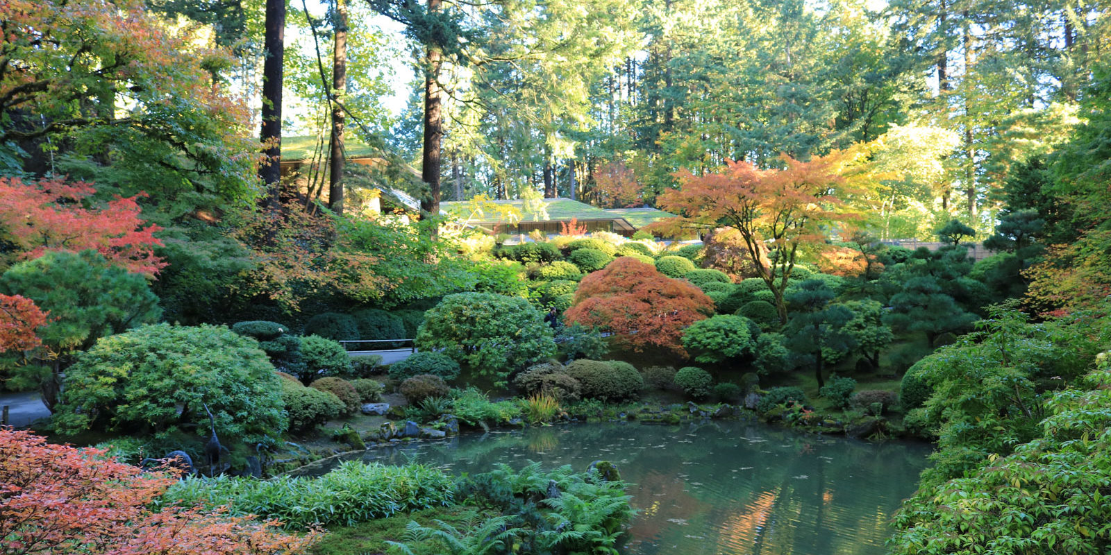 LR_Portland Japanese Garden_Fall Colors_Julia Taylor_IMG_1353