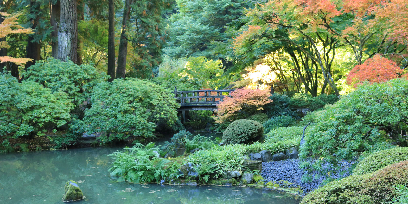 LR_Portland Japanese Garden_Fall Colors_Julia Taylor_IMG_1363