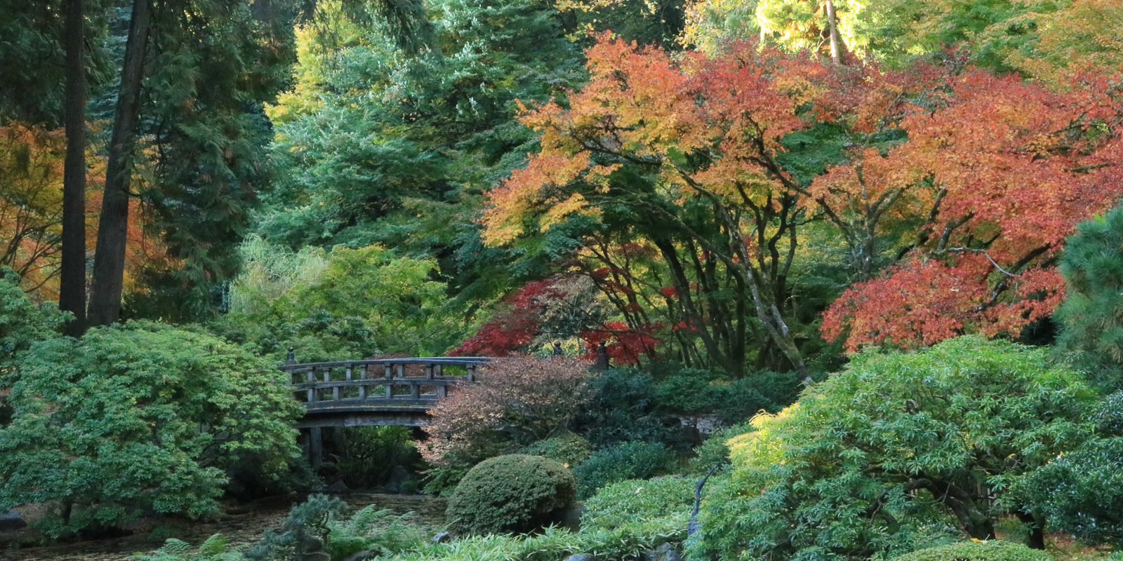LR_Portland Japanese Garden_Fall_Julia Taylor_IMG_1642