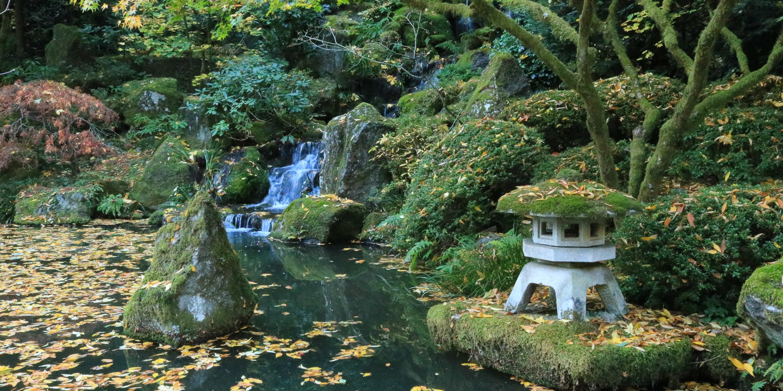 LR_Portland Japanese Garden_Fall_Julia Taylor_IMG_1661