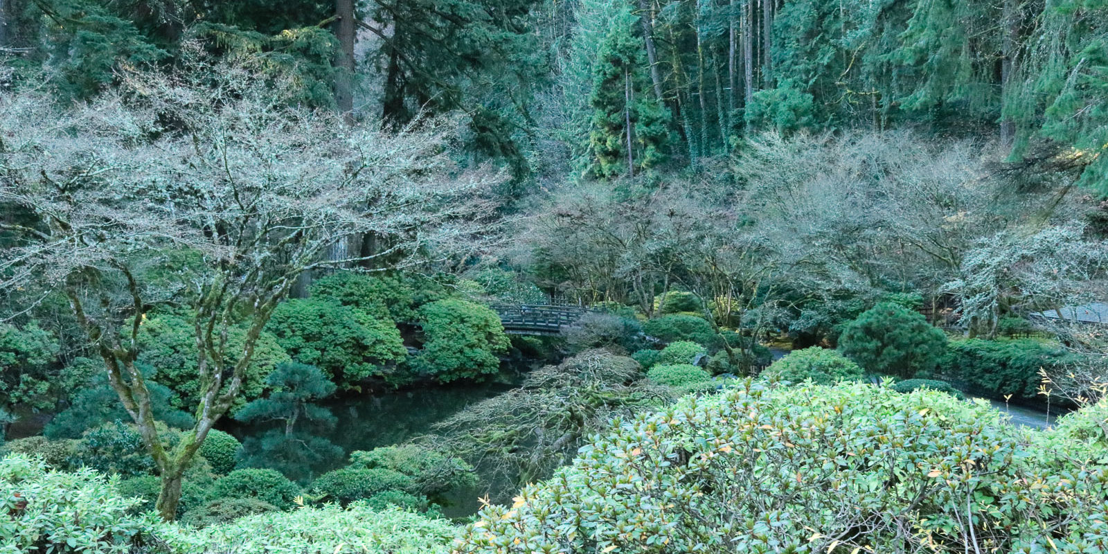 LR_Julia Taylor_Portland Japanese Garden_Dec 2017_IMG_2368