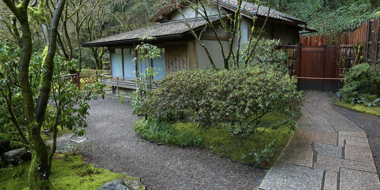 Portland Japanese GardenWinter 2017RayPfortner.com