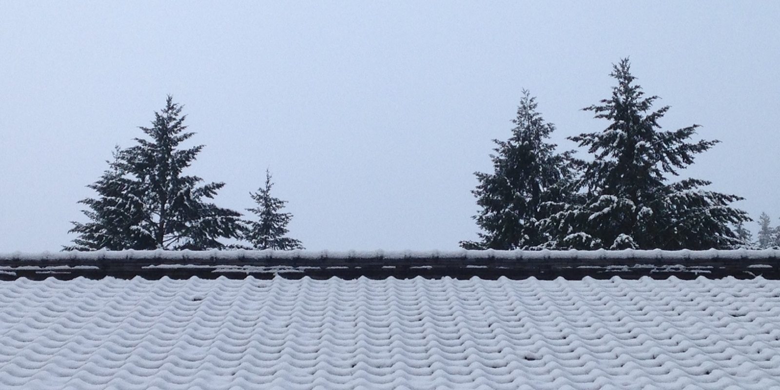 Winter Photos - Snow roof_Tyler Quinn