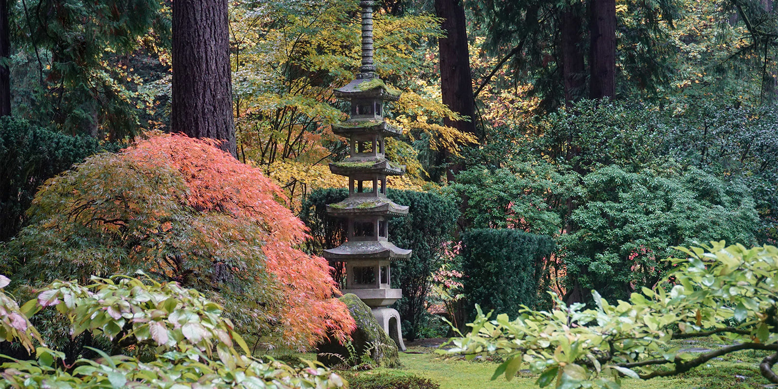 Peak Color Portland Japanese Garden. Photo by Tyler Quinn - 2018-10-29 - DSC01521_low