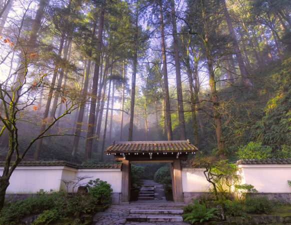 A nearly 200-year-old gate that people walk through to enter Portland Japanese Garden.