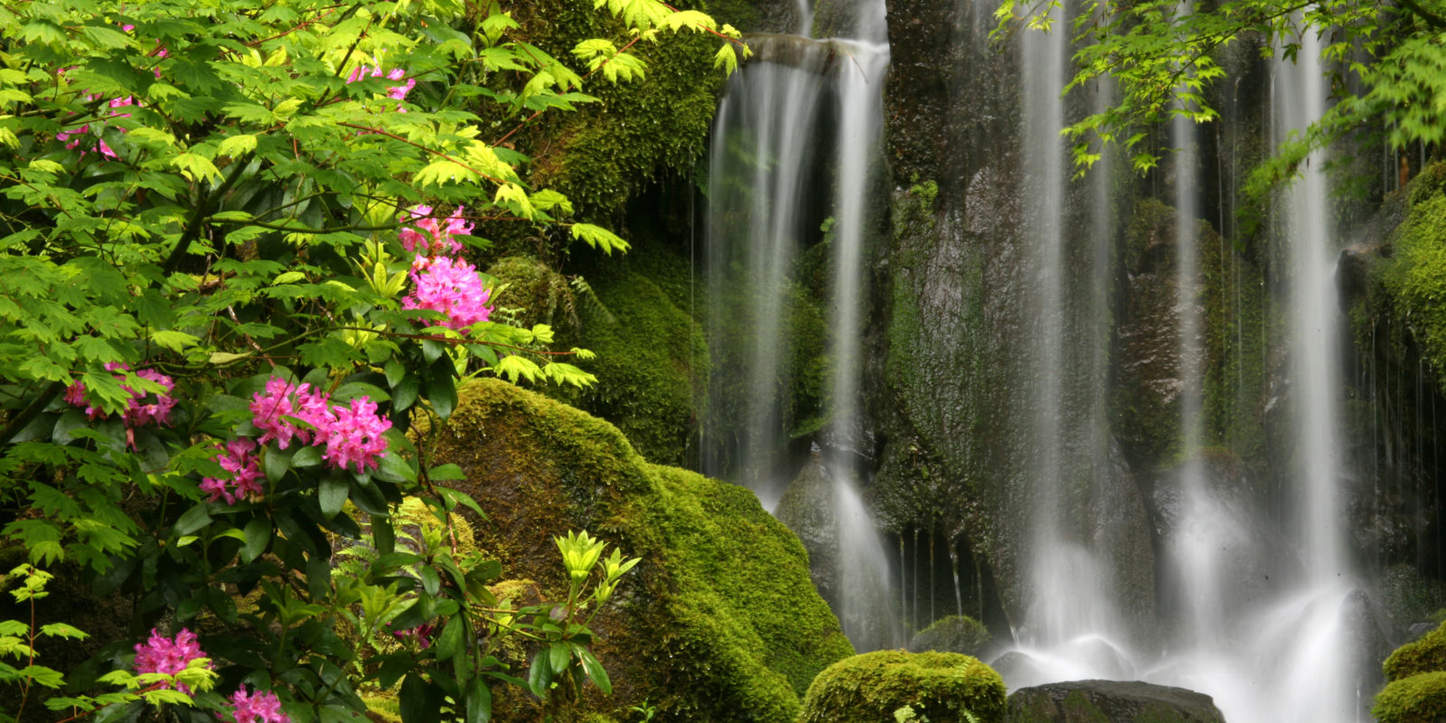 WaterfallJapanese Garden, Portland, ORRayPfortner.com