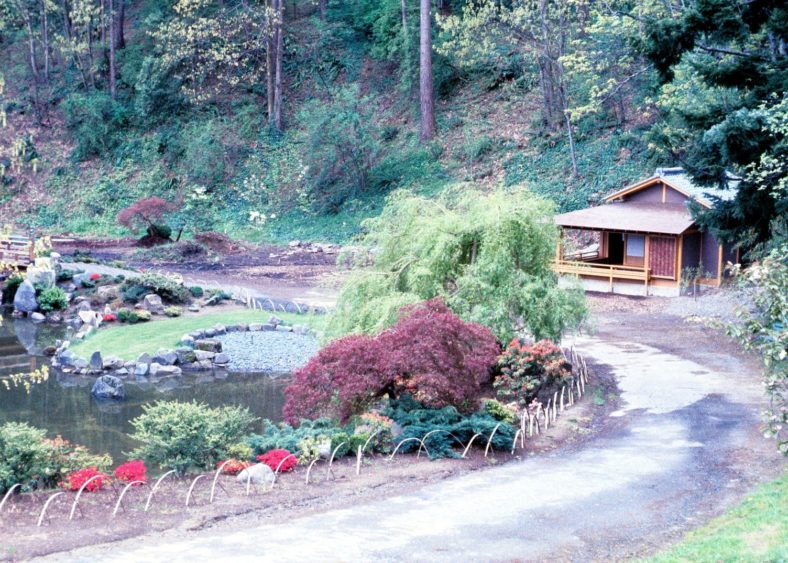 A view of Portland Japanese Garden in the 1960s.