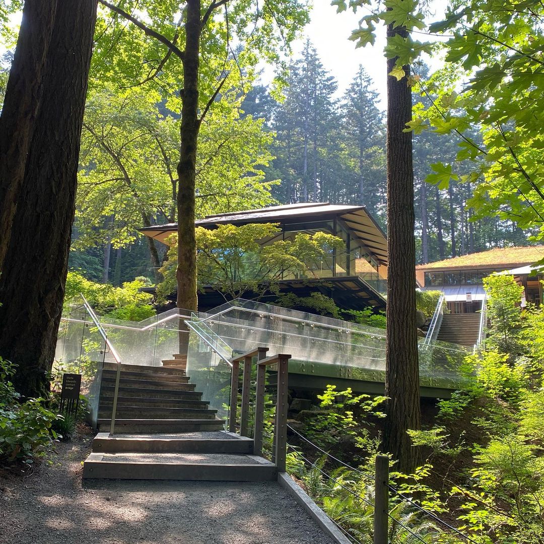 A Year in Review: 2020 at Portland Japanese Garden – Portland Japanese ...