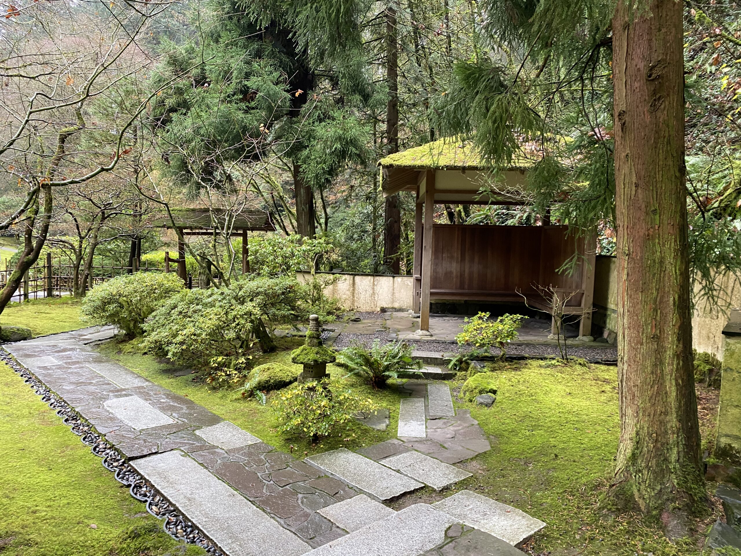 Finding Solace in Winter – Portland Japanese Garden