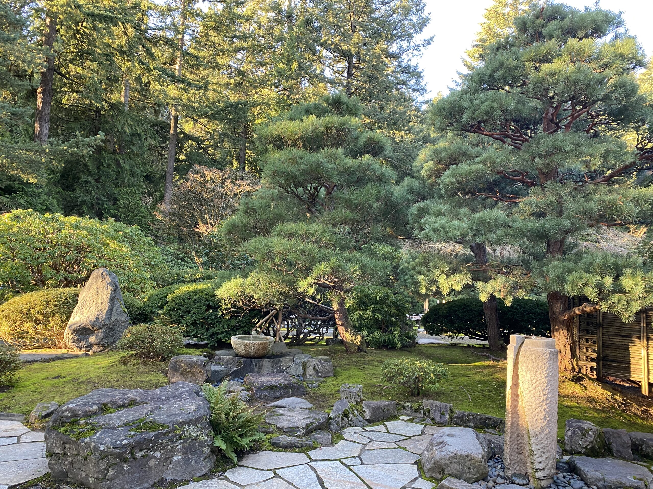 Finding Solace in Winter – Portland Japanese Garden