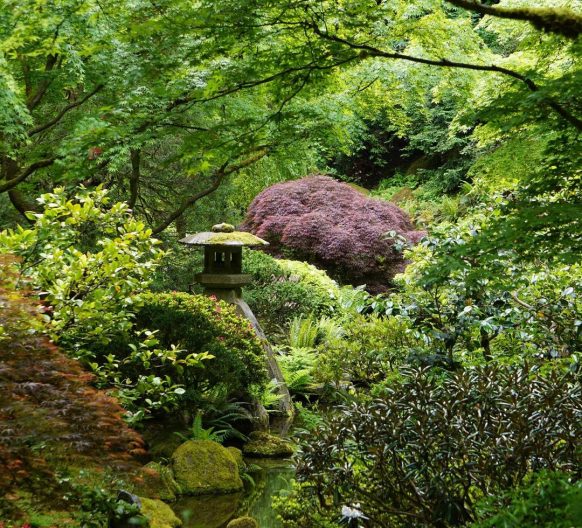 Portland Japanese Garden, Japanese Garden Photos