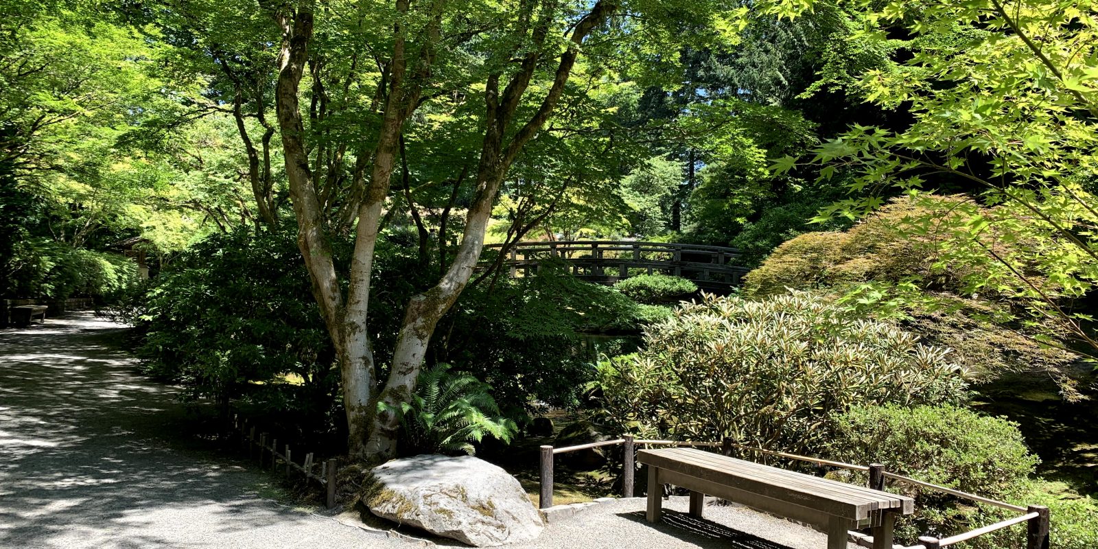 Summer shade and bench at portland japanese garden