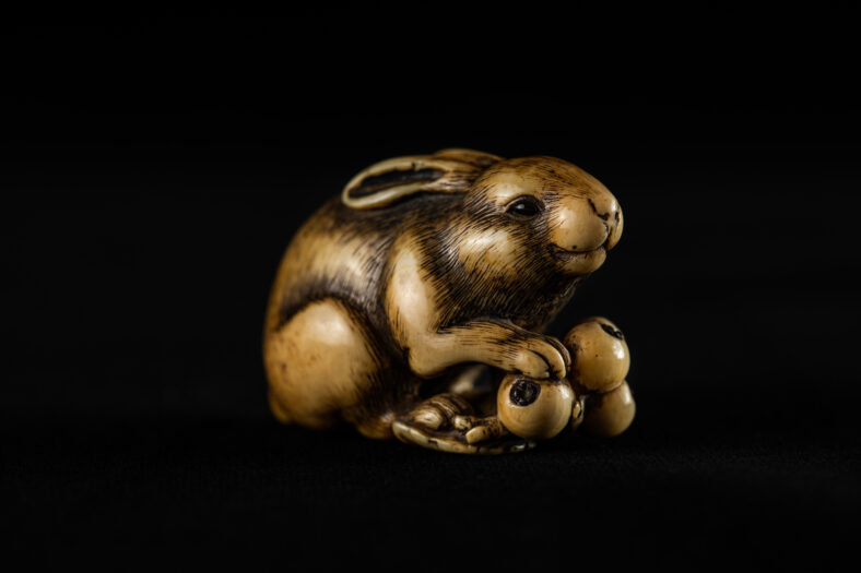 Japanese ivory netsuke of a rabbit with a bunch of loquats. Signed in rectangular reserve "Okatomo". 18th century. Photo by Heather Hawksford