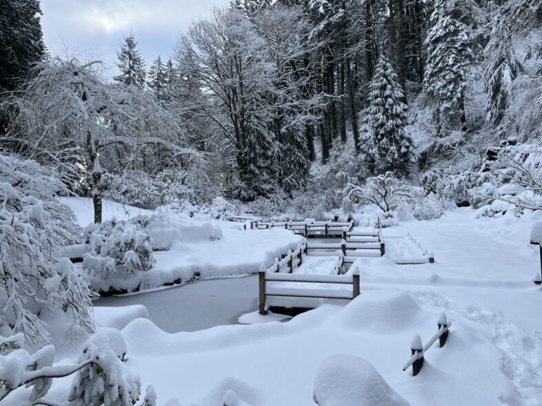 Nearly a foot of snow covering the pathways, bridges, and landscape of Portland Japanese Garden.
