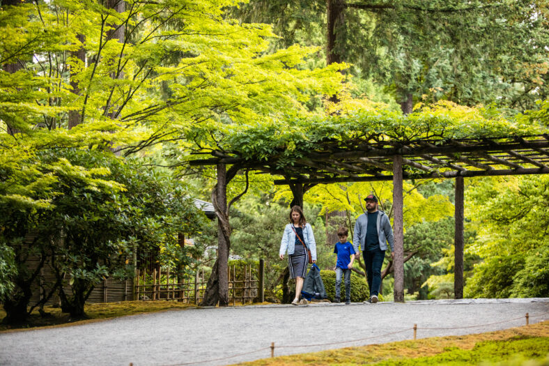People walking underneath a wisteria arbor.