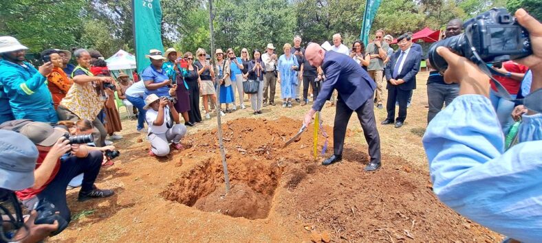 Portland Japanese Garden and Japan Institute CEO Steve Bloom using a shovel to put soil over a tree that was donated to Johannesburg Botanical Garden.
