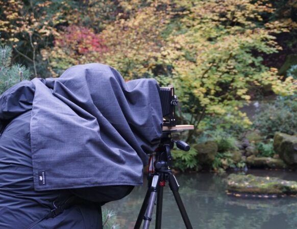 A photographer taking photos in Portland Japanese Garden.