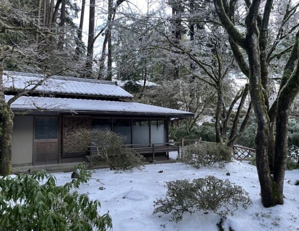 Snow and ice on a tea house and tea garden at Portland Japanese Garden