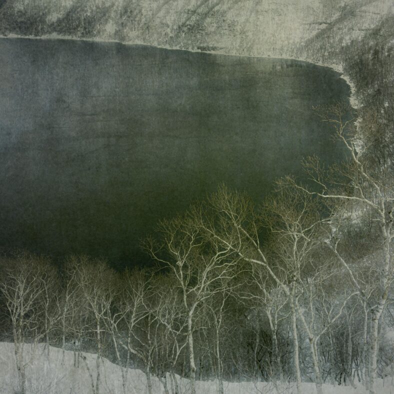 Abstract photo composite of trees and lake with a texture overlay.