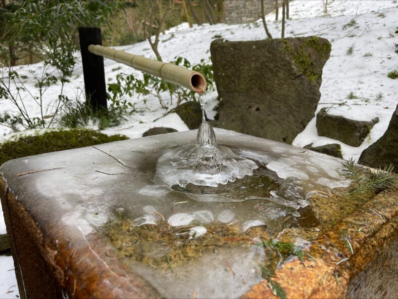 Frozen ice out of a water feature in Portland Japanese Garden
