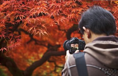 Photographer capturing The Tree amidst the vibrant hues of autumn foliage in the Portland Japanese Garden