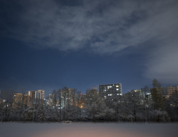 An image of Sapporo at night as seen from a park with buildings with lit windows in the background.