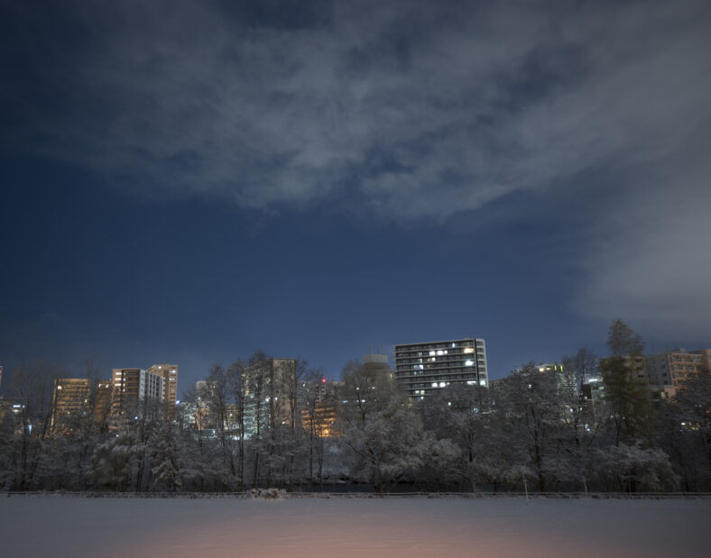An image of Sapporo at night as seen from a park with buildings with lit windows in the background.