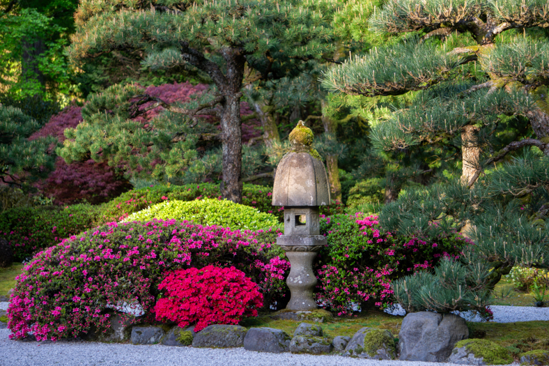 Multi-color flowers in bloom next to lamp at the Portland Japanese Garden.
