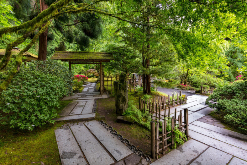 View of the Tea Garden in late spring in the Portland Japanese Garden
