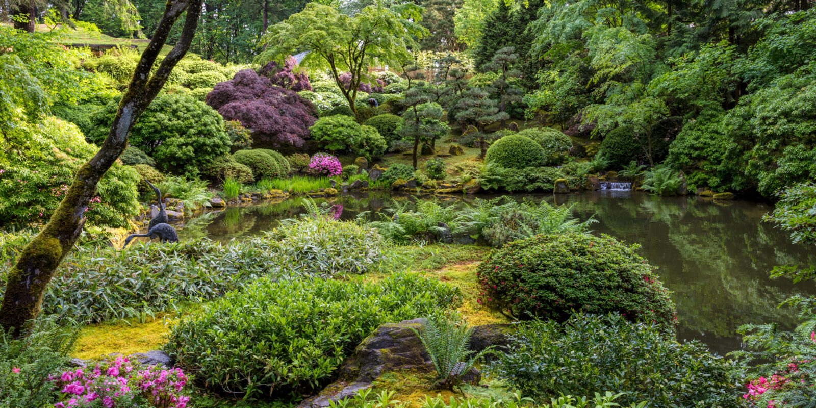 Late Spring Early Summer by Mike Centioli - 2017-05-31 - Portland Japanese Garden, May 2017-39 (1)