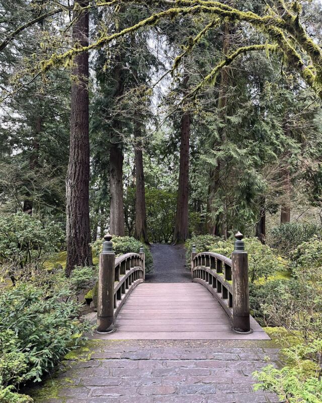 Khu vườn Nhật Bản ở Portland sẽ khiến bạn ngất ngây với thiên nhiên hoa lá và kiến trúc đậm chất Nhật. Cảm nhận được nhịp săn hoa và thở không khí trong lành, hãy xem những hình ảnh tuyệt đẹp của khu vườn này để có một chuyến du lịch thú vị đến Portland.